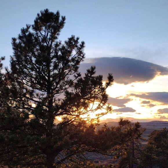 Meet your Posher - Picture 1 of 1